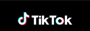 Cat Earrings Shown on TikTok